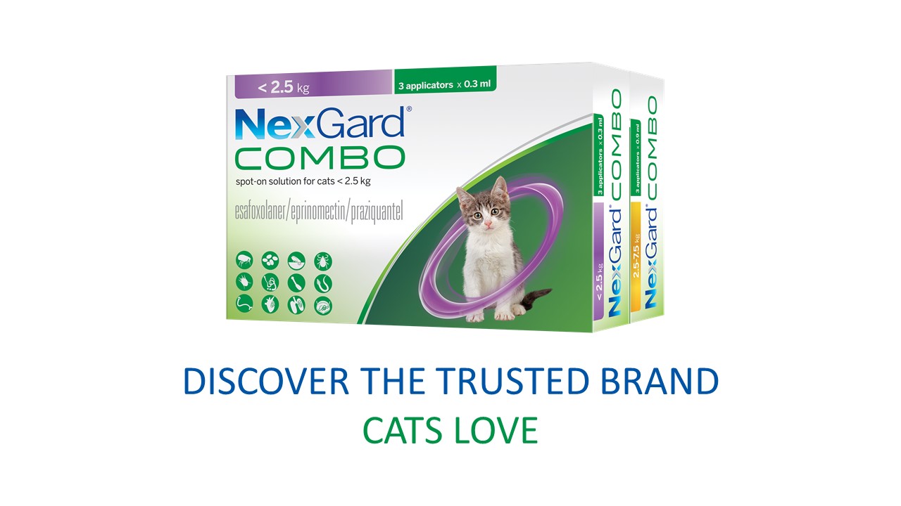 NexGard Combo