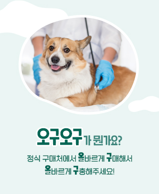 넥스가드_오구오구캠페인_MO_02.jpg